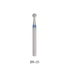 BR-31